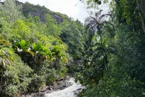Unforgettable Full Day Mahe Island Tour