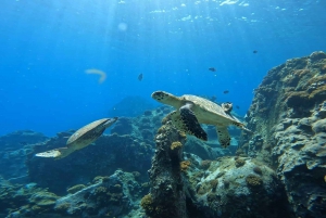 Praslin: Curieuse & St-Pierre Boat Adventure med snorkling