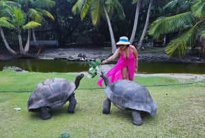 Praslin: Curieuse & St-Pierre Boat Adventure med snorkling