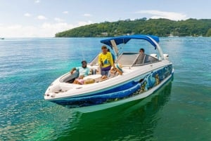 CREOLE BBQ & Snorkeling | Sister, Coco & Félicité Islands