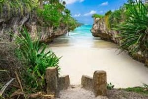 Zanzíbar: Bosque de Jozani, parque de reptiles y playa de Mtende