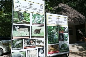 Zanzíbar: Bosque de Jozani, parque de reptiles y playa de Mtende