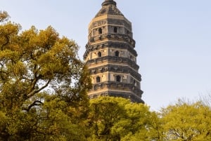 2 jours d'excursion privée de Shanghai à Watertown et Suzhou Garden