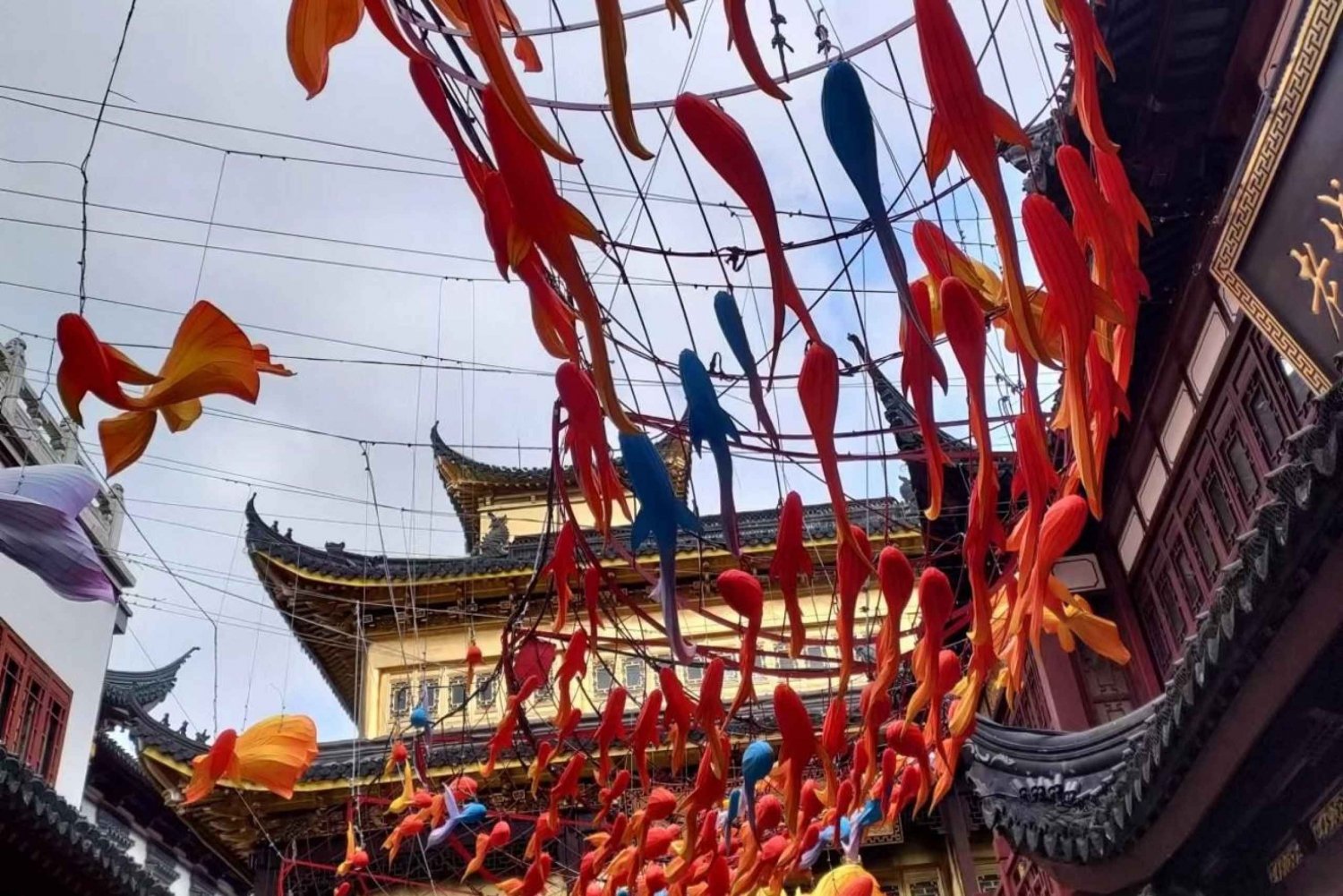 4-Hour Private Shanghai Shopping Tour with Local Expert