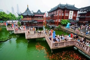 4-Hour Shanghai Best Garden and Temple Tour with Tea Tasting