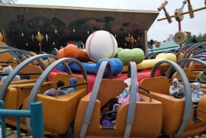 6 timers privat tur i Disneyland