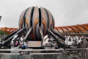 6 timers privat tur i Disneyland