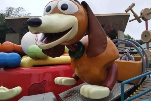 6 timers privat tur i Disneyland