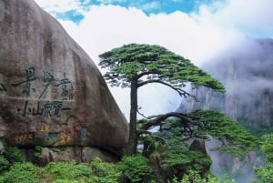 Circuit de 7 jours à Shanghai et dans le paysage de Huangshan