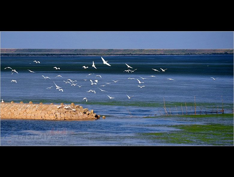 Chongming Island-the Third Largest Island in China