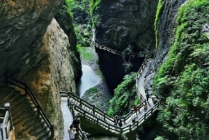 Chongqing: 5-Day Private Tour with Hotel & Transfers