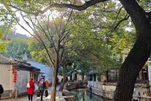 Viagem de Xangai ao Jardim Clássico e à Cidade Aquática de Suzhou