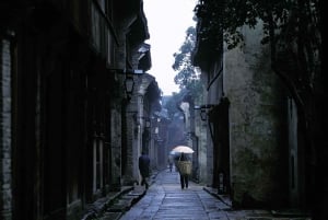 Delve into Wuzhen Water Town: Private Tour from Shanghai