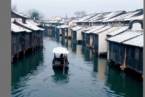 Delve into Wuzhen Water Town: Private Tour from Shanghai