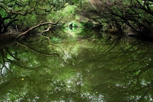 Partindo de Kaohsiung ou Tainan: Viagens de 1 dia pela cidade de Tainan