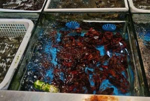 Experience Shanghai Like a Native: A Day in Local Life