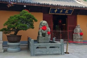 Experience Shanghai Like a Native: A Day in Local Life