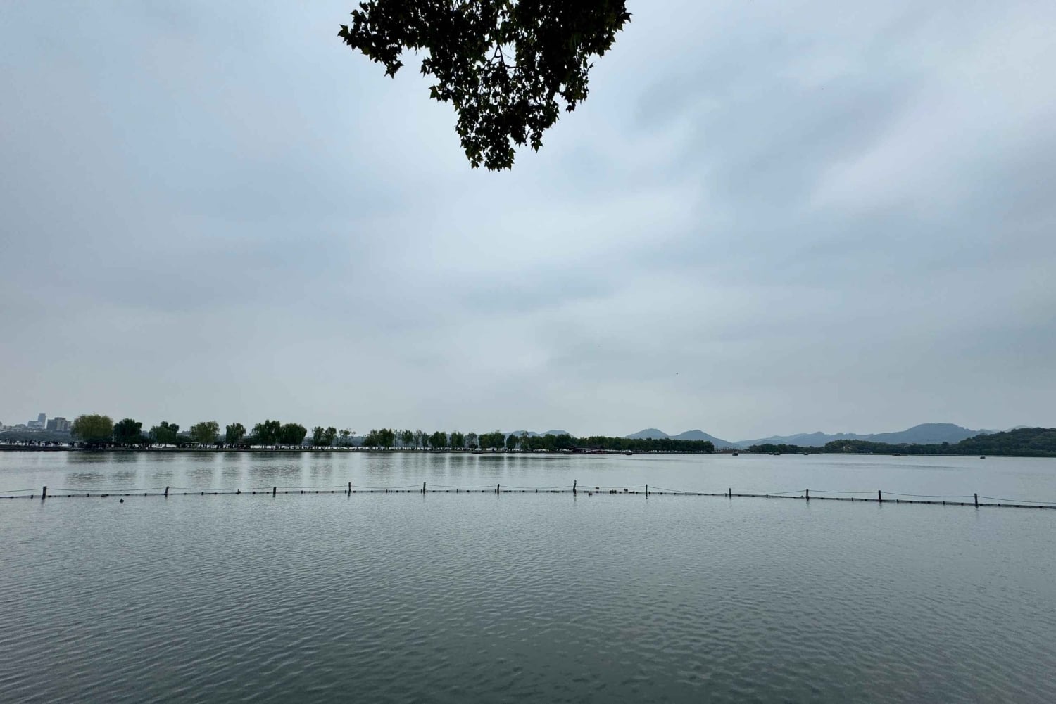 De Hangzhou: Excursão de 5 dias a Xangai com cruzeiro e almoços