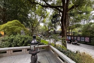 De Hangzhou: Excursão de 5 dias a Xangai com cruzeiro e almoços