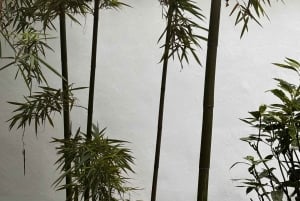 De Hangzhou: Excursão de 5 dias a Xangai com cruzeiro e almoços