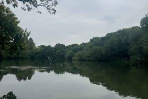 De Hangzhou: Excursão de 5 dias a Xangai com cruzeiro e almoços