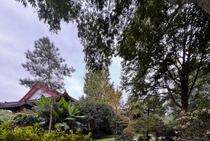 De Hangzhou: Excursão de 5 dias a Xangai com cruzeiro e almoços