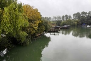 De Hangzhou: Excursão de 5 dias a Xangai com cruzeiro e almoços