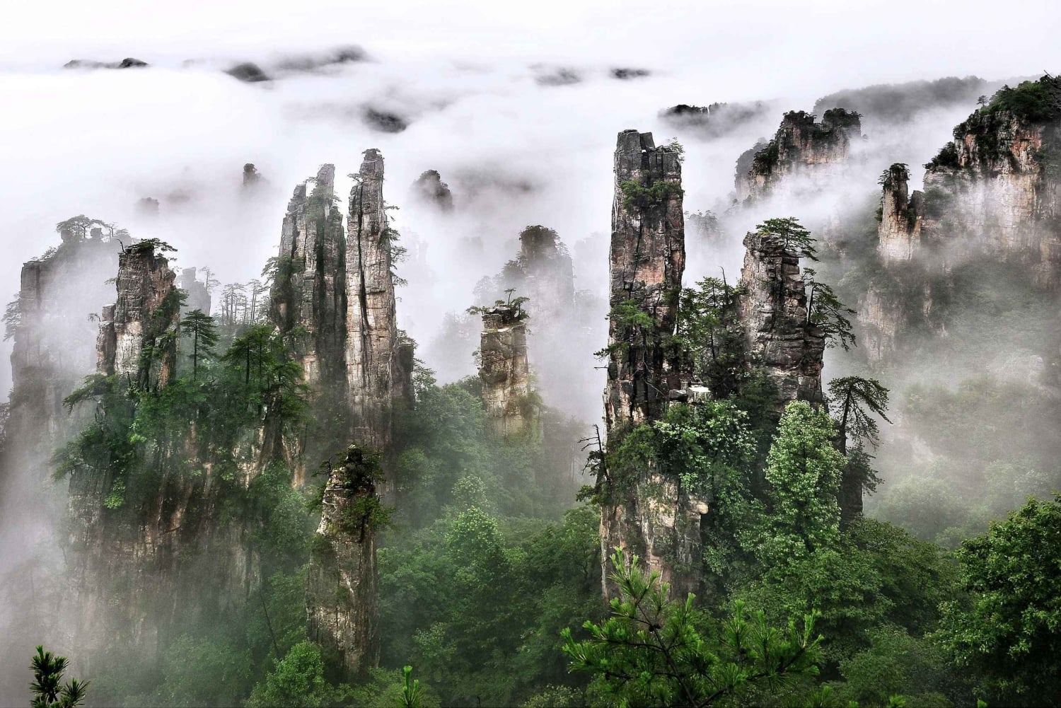 Z Szanghaju: 10-dniowa wycieczka do Chongqing, Zhangjiajie i nie tylko
