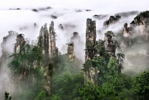 Desde Shanghai: Excursión de 10 días a Chongqing, Zhangjiajie y mucho más