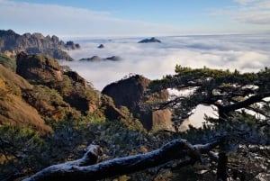 From Shanghai: 3-Day Private Huangshan Mount Tour& Peak Stay