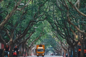 Vanuit Shanghai: 7-daagse tour naar Huangshan, Hangzhou en Wuzhen