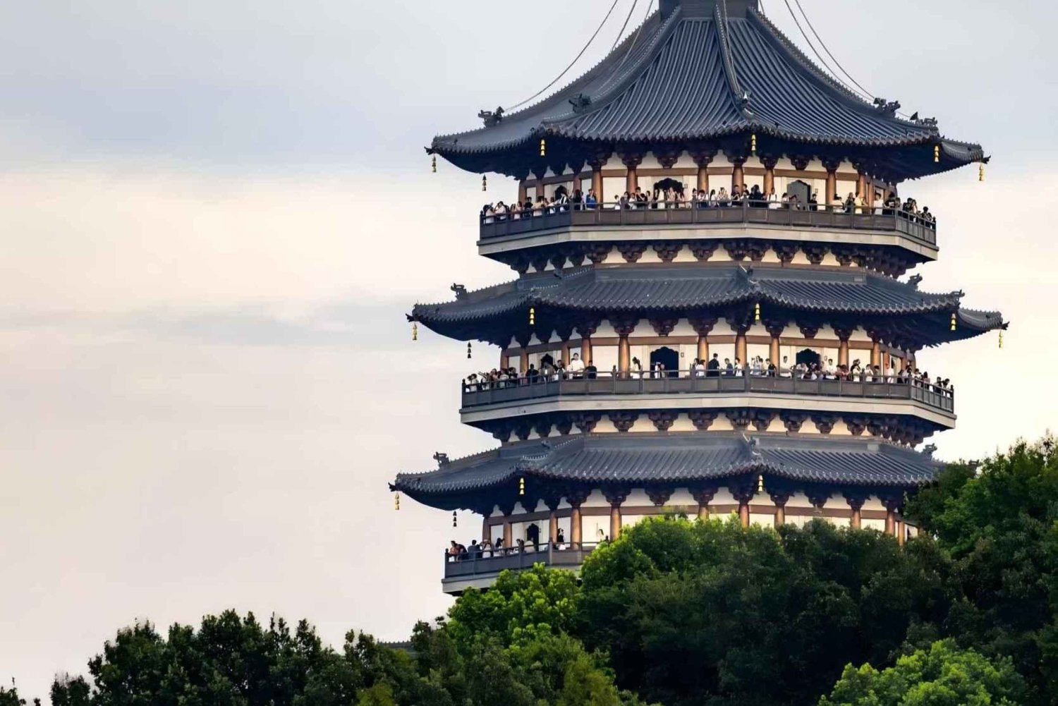 Au départ de Shanghai : circuit de 2 jours à Hangzhou en train à grande vitesse