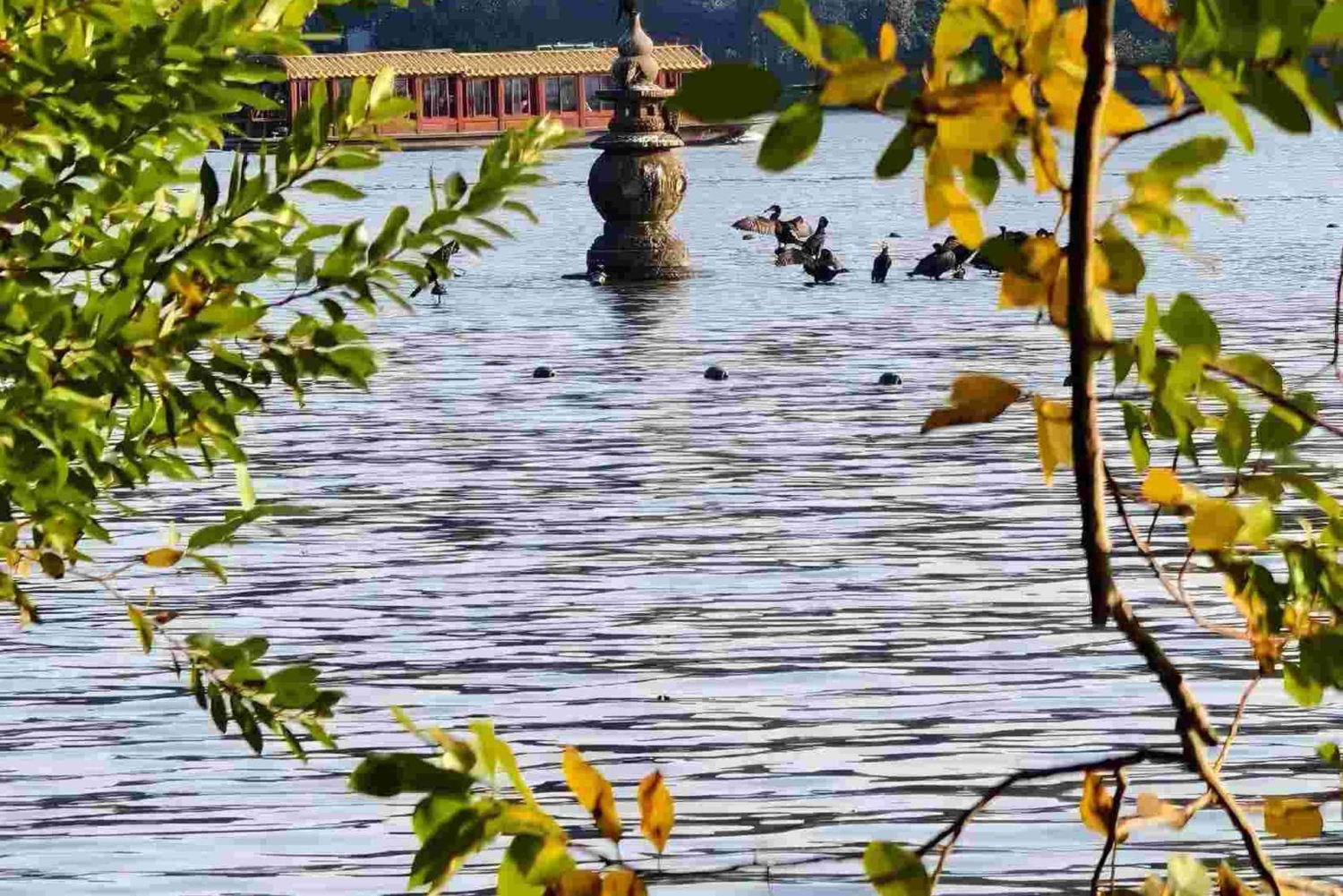 From Shanghai: Hangzhou 2-Day Tour by High-Speed Train