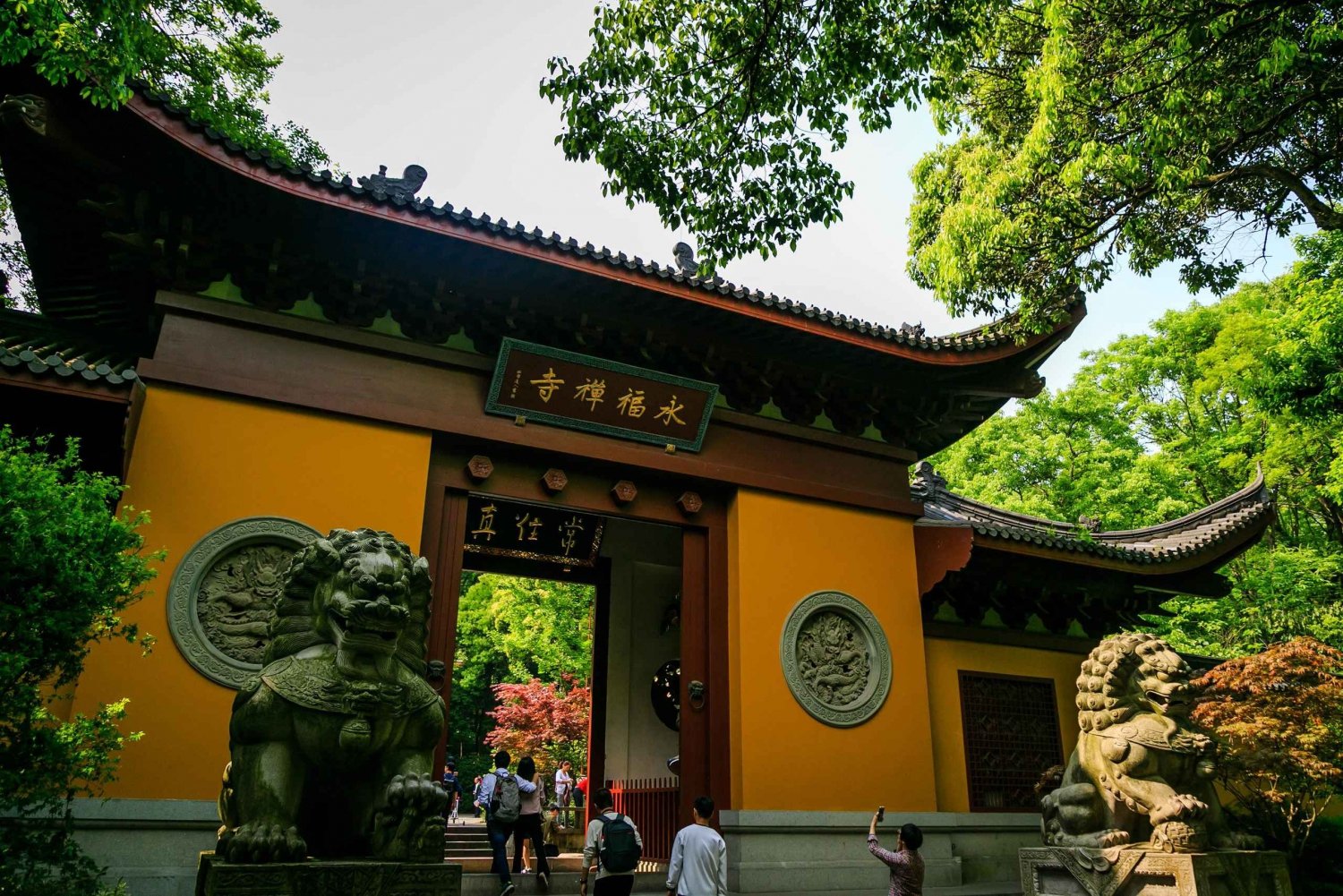 Da Shanghai: tour privato di Hangzhou con treno proiettile