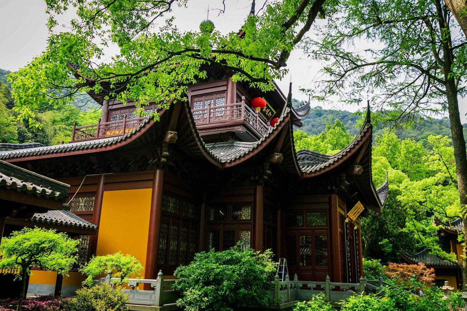 Fra Shanghai: Privat dagstur til Hangzhou med høyhastighetstog