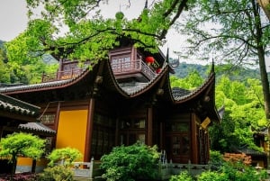 Fra Shanghai: Privat dagstur til Hangzhou med høyhastighetstog