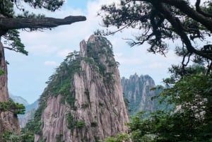 Shanghaista: yksityinen päiväkierros Huangshaniin pikajunalla