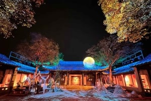 Da Shanghai: tour notturno dell'antica città di Luzhi e di Suzhou