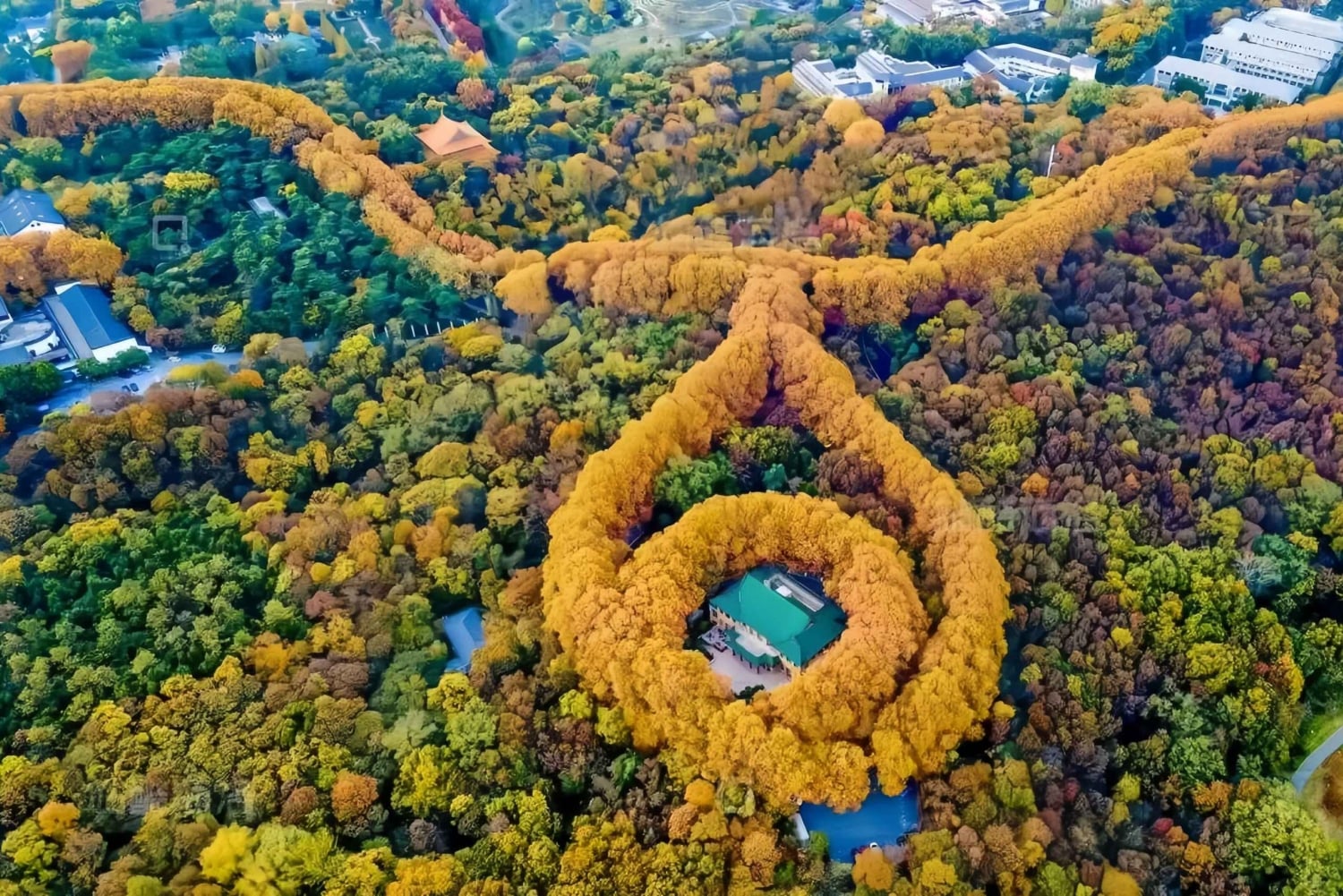 Z Szanghaju: prywatna wycieczka 1-dniowa do Nankinu szybką koleją