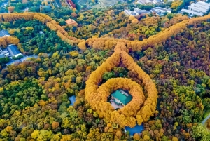 Z Szanghaju: prywatna wycieczka 1-dniowa do Nankinu szybką koleją