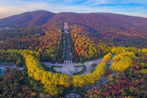 Z Szanghaju: prywatna wycieczka 1-dniowa do Nankinu szybką koleją