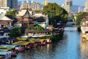 Z Szanghaju: prywatna wycieczka 1-dniowa do Nankinu szybką koleją