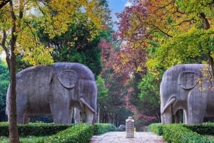 Z Szanghaju: prywatna wycieczka 1-dniowa do Nankinu szybką koleją