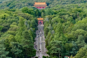 Z Szanghaju: prywatna wycieczka 1-dniowa do Nankinu szybką koleją