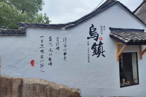 Desde Shanghai: Tour privado de un día a la Ciudad del Agua de Wuzhen