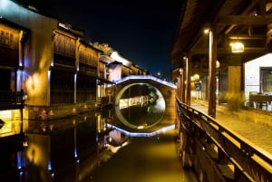 Desde Shanghai: Tour privado de un día a la Ciudad del Agua de Wuzhen