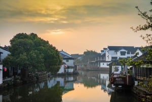 Da Shanghai: tour privato di 1 giorno a Suzhou e alla città sull'acqua