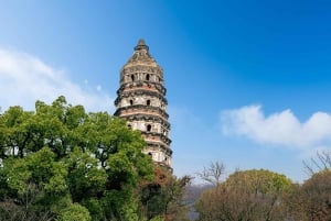 Da Shanghai: tour privato di 1 giorno a Suzhou e alla città sull'acqua