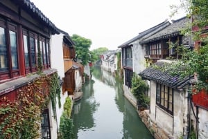 Da Shanghai: tour privato di 1 giorno a Suzhou e alla città sull'acqua