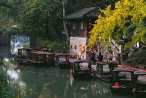 Da Shanghai: tour privato di 1 giorno a Suzhou e alla città sull'acqua